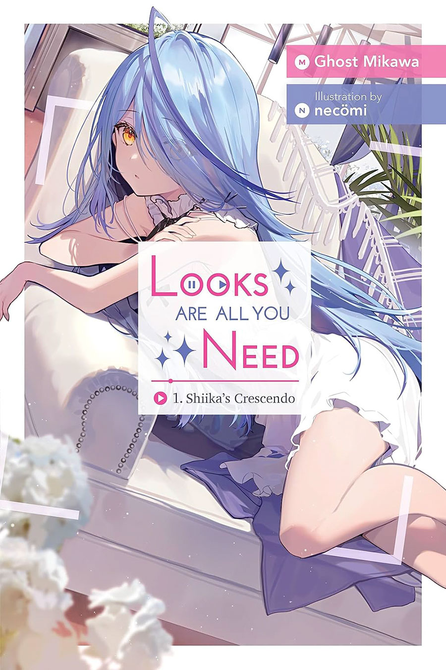 Looks Are All You Need Light Novel Vol 1 (New Edition)