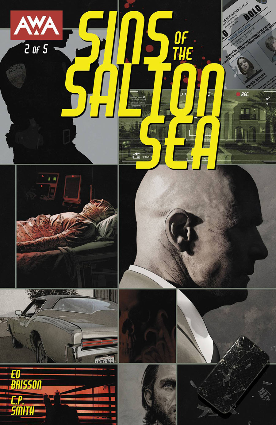 Sins Of The Salton Sea #2 Cover A Regular Tim Bradstreet Cover