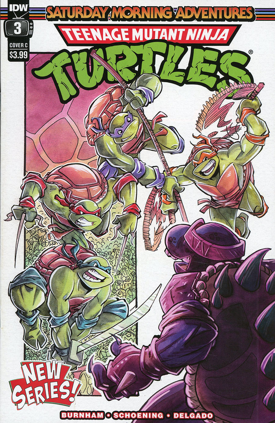 Teenage Mutant Ninja Turtles Saturday Morning Adventures Continued #3 Cover C Variant Shawn Daley Cover