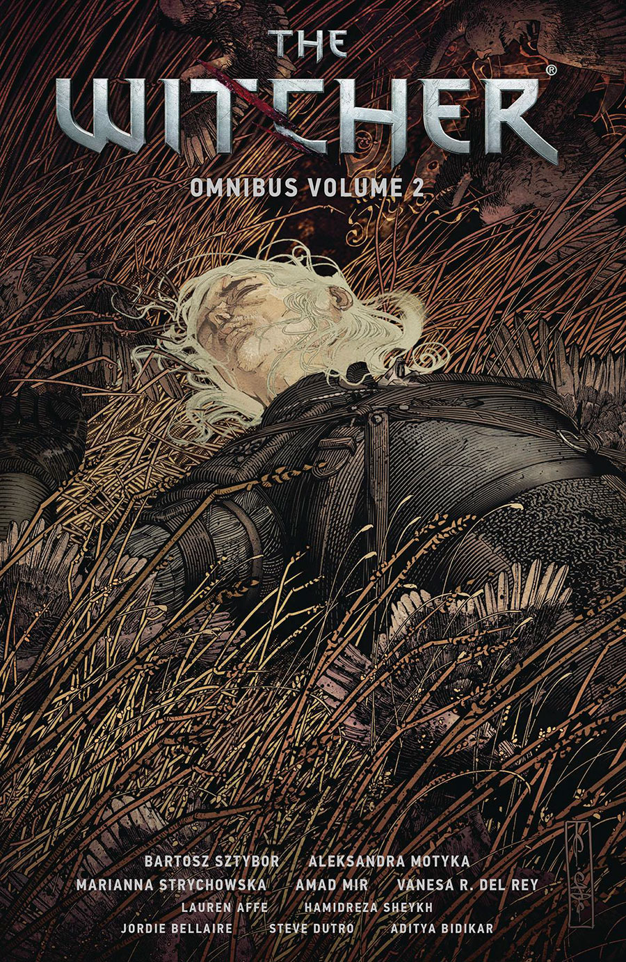 Witcher Omnibus Vol 2 TP