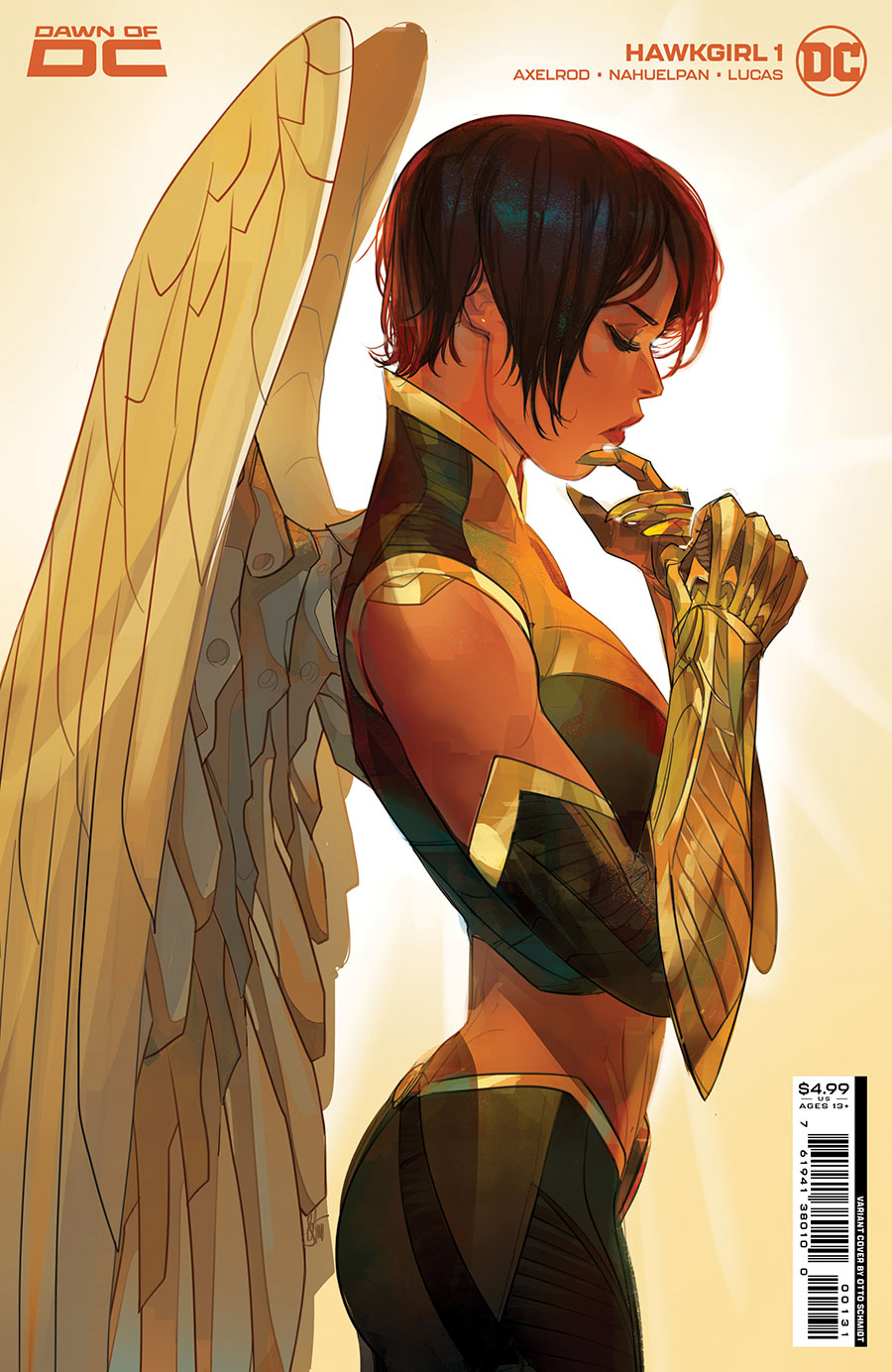 Hawkgirl Vol 2 #1 Cover C Variant Otto Schmidt Card Stock Cover
