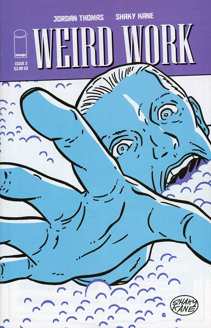 Weird Work #2 Cover A Regular Shaky Kane Cover