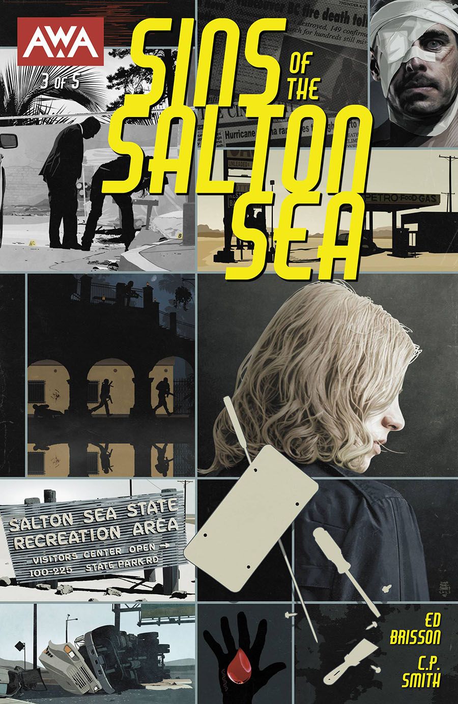 Sins Of The Salton Sea #3 Cover A Regular Tim Bradstreet Cover