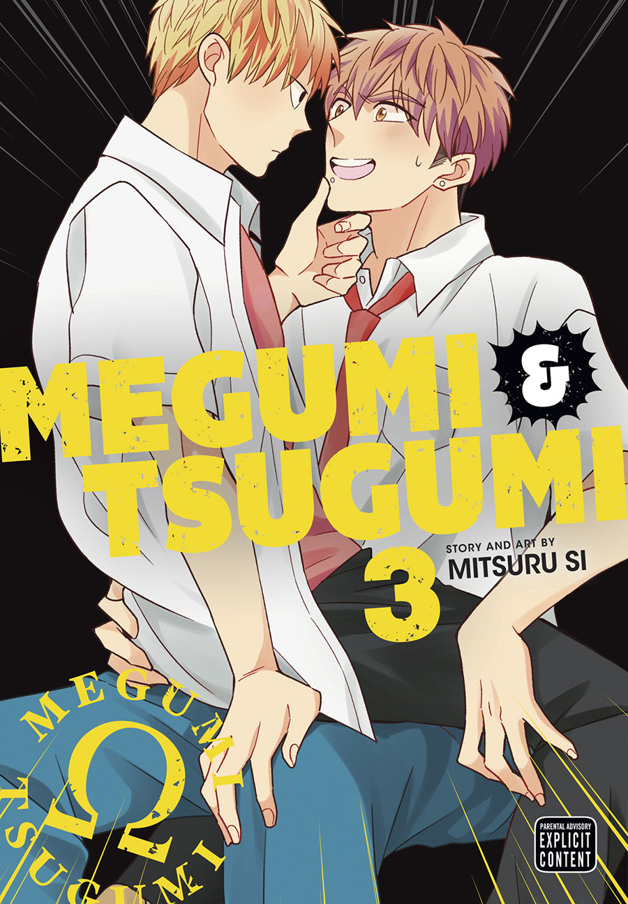 Megumi & Tsugumi Vol 3 GN