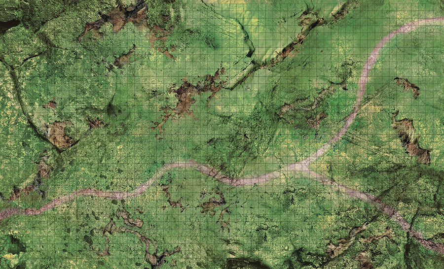 Dungeons & Dragons Icons Of The Realms Battle Mat - Plains