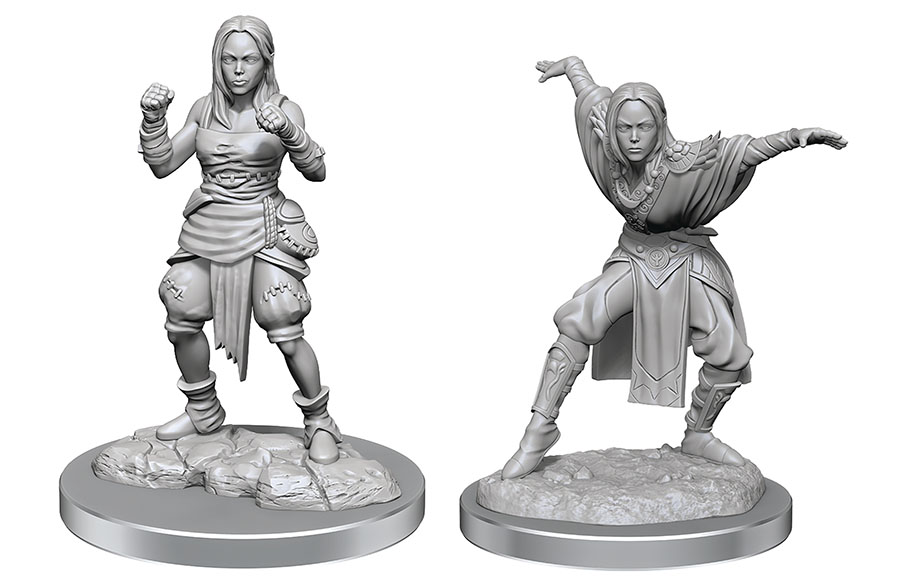 Pathfinder Deep Cuts Miniature - Half Elf Monk Female