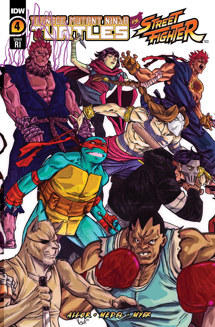 Teenage Mutant Ninja Turtles vs Street Fighter #4 Cover D Incentive Vincenzo Federici Variant Cover