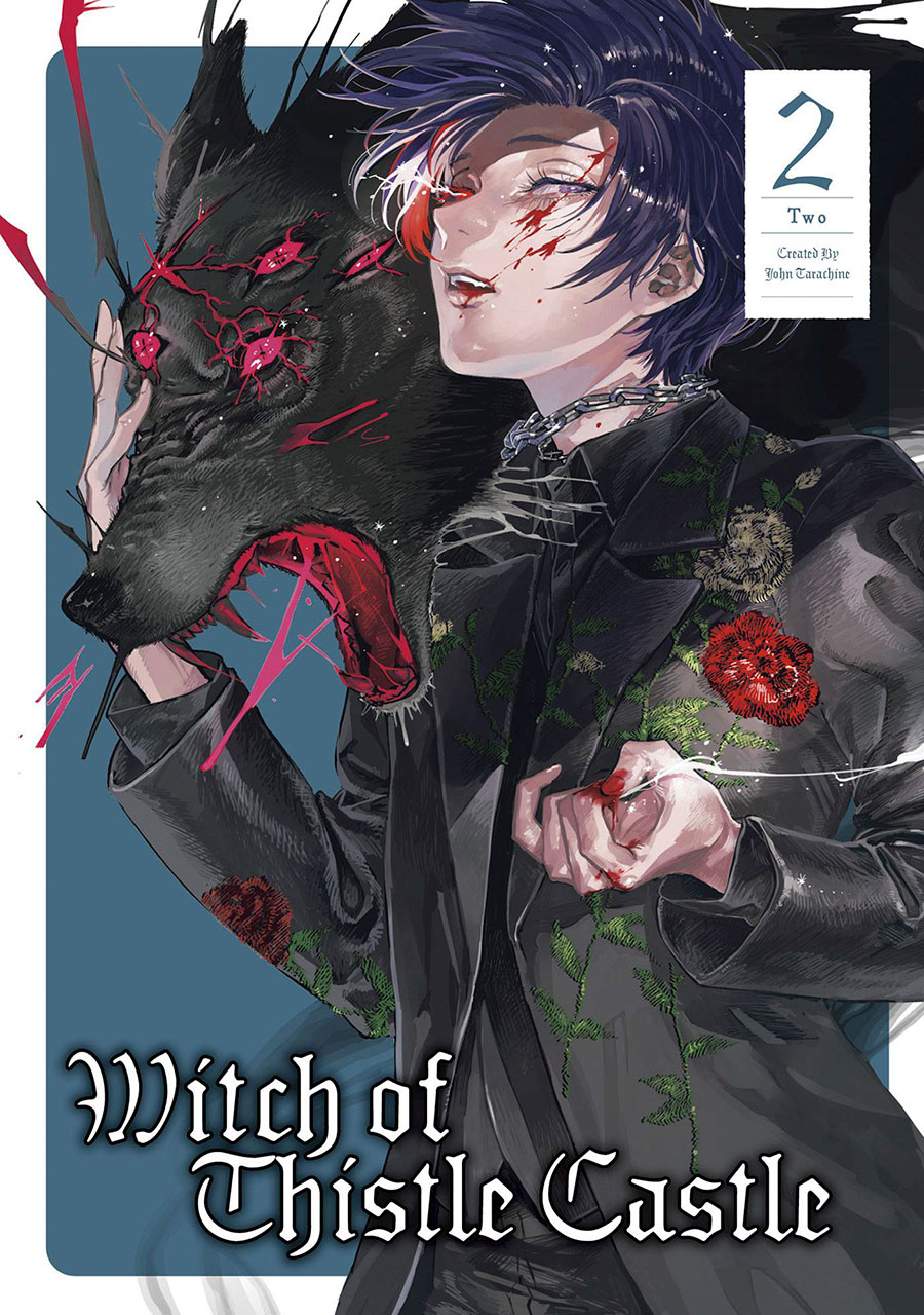 Witch Of Thistle Castle Vol 2 GN