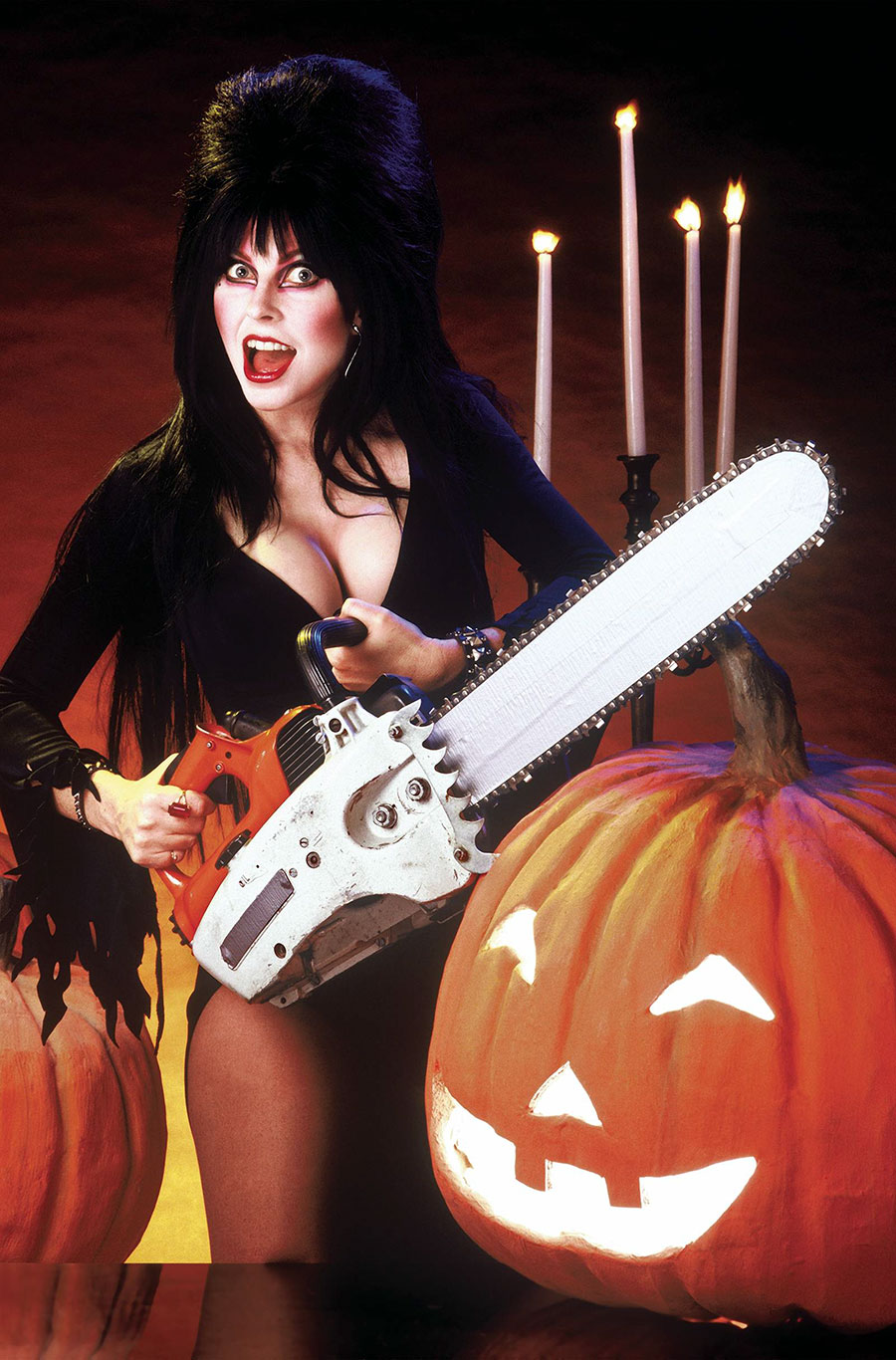 Elvira In Monsterland #5 Cover G Incentive Photo Virgin Cover