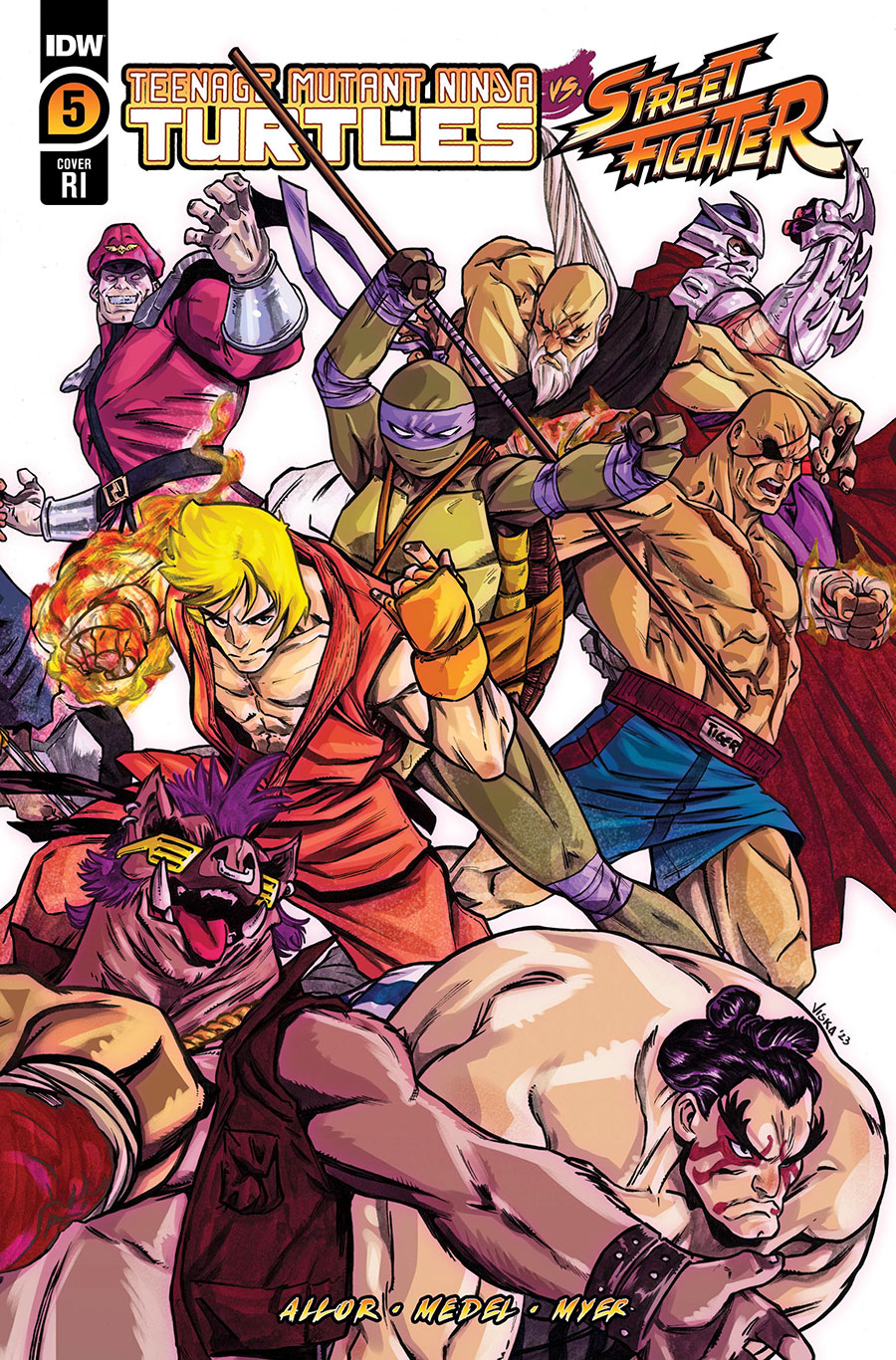 Teenage Mutant Ninja Turtles vs Street Fighter #5 Cover D Incentive Vincenzo Federici Variant Cover