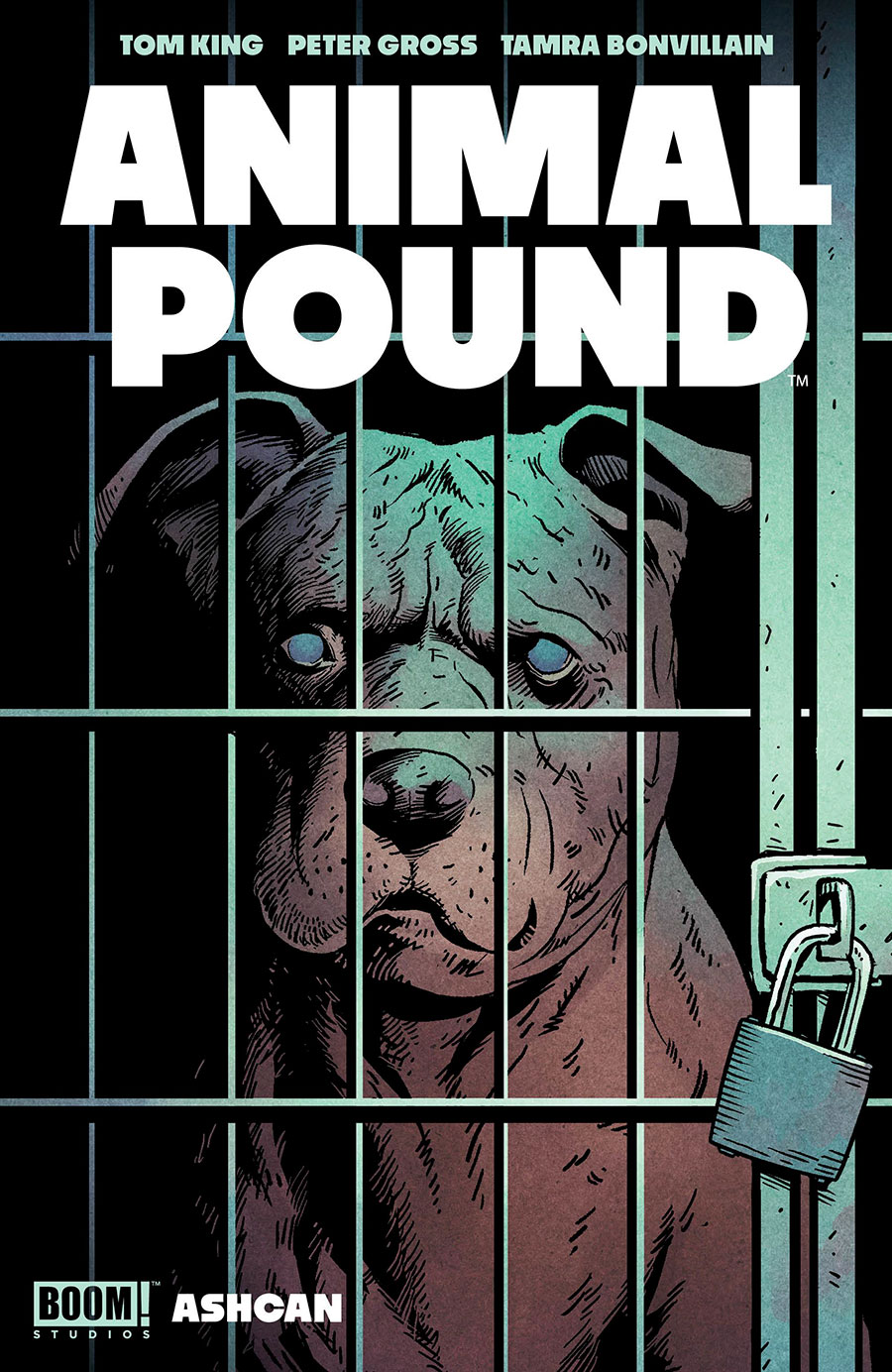Animal Pound Ashcan #1 (One Shot) Cover A Regular Peter Gross & Tamra Bonvillain Cover