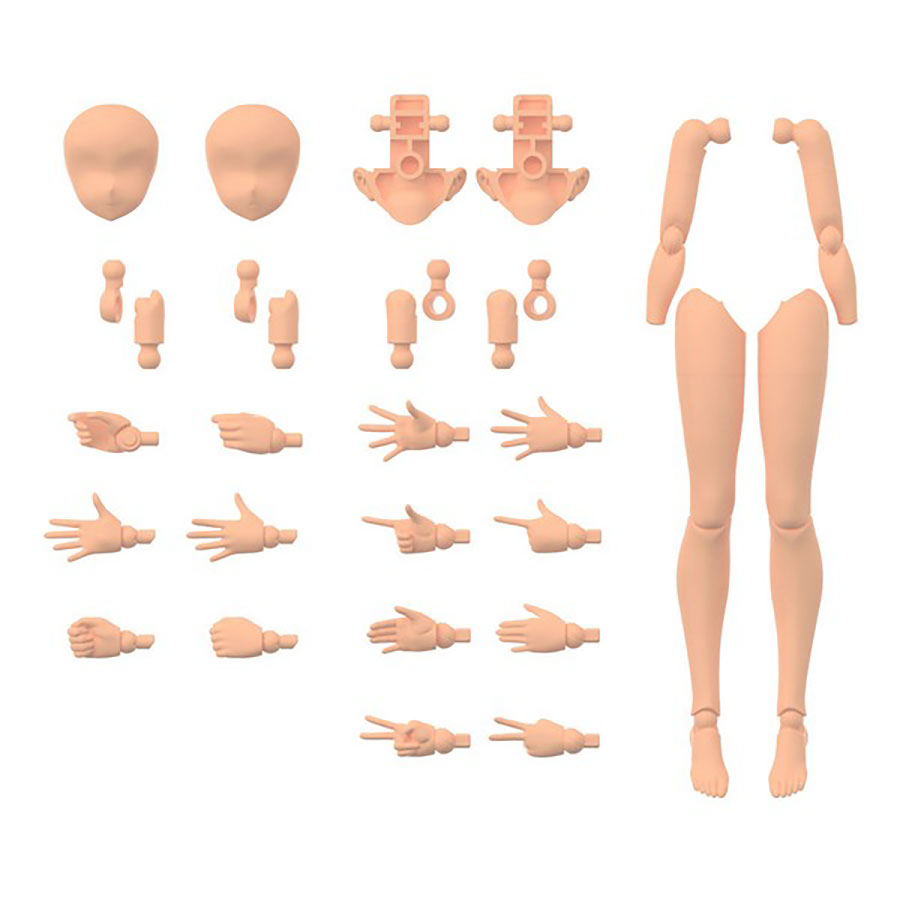 30 Minutes Sisters Option - Box Of 12 - #OB-11 Body Parts Arm Parts & Leg Parts (Color C)