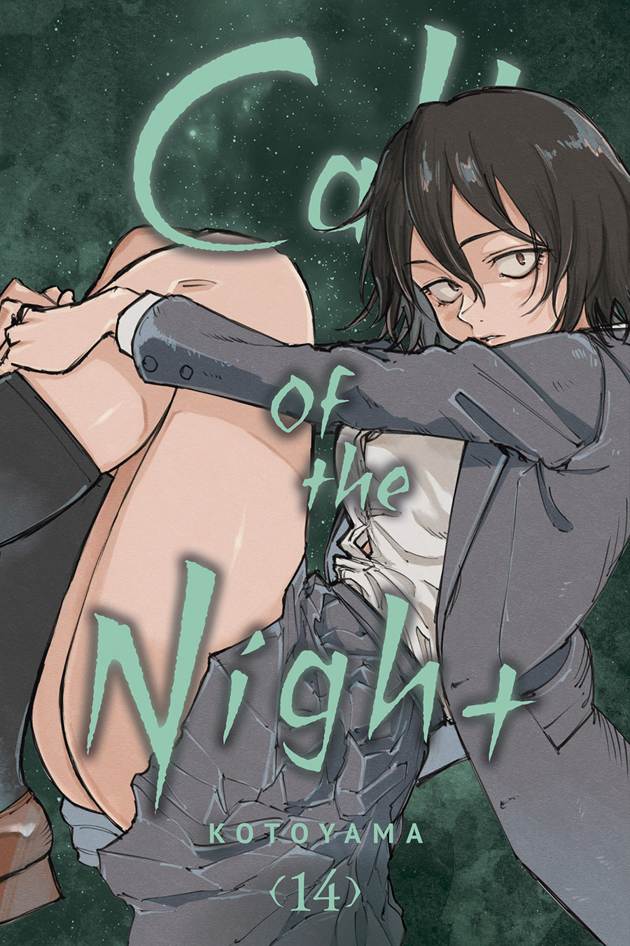 Call Of The Night Vol 14 GN