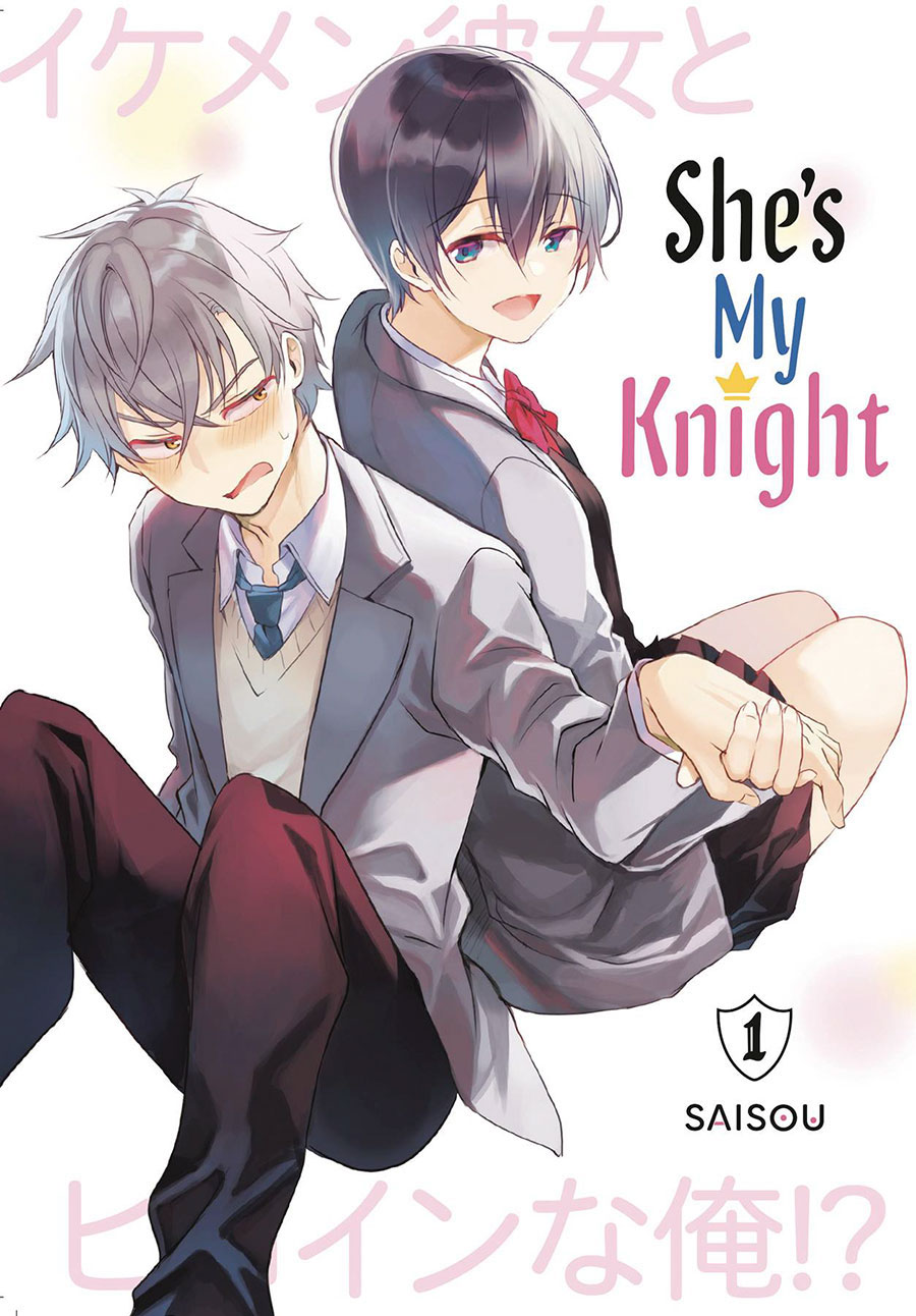 Shes My Knight Vol 1 GN