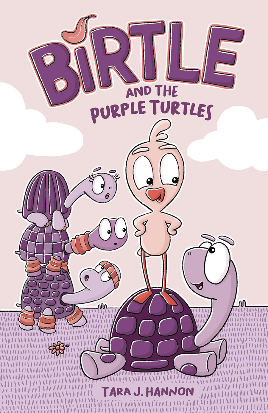 Birtle And The Purple Turtles HC