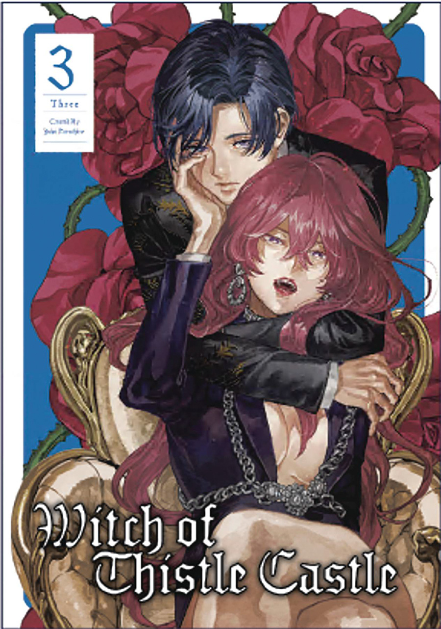 Witch Of Thistle Castle Vol 3 GN
