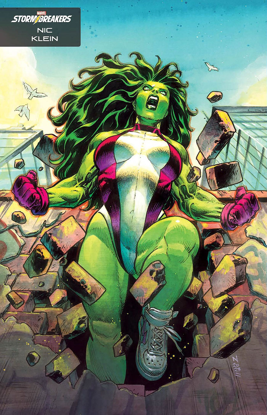 Sensational She-Hulk Vol 2 #6 Cover C Variant Nic Klein Stormbreakers Cover