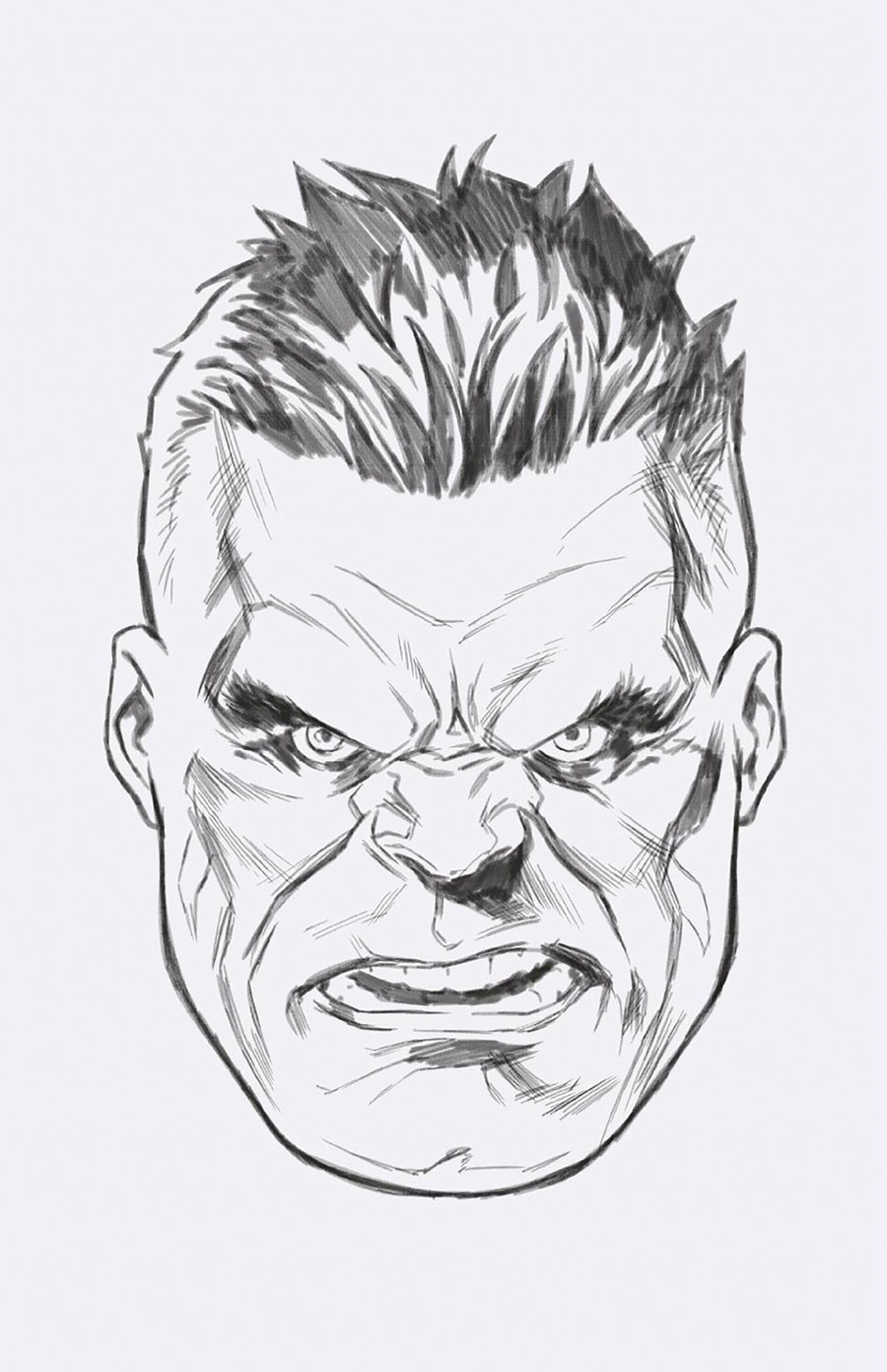 Incredible Hulk Vol 5 #10 Cover D Incentive Mark Brooks Headshot Sketch Virgin Cover
