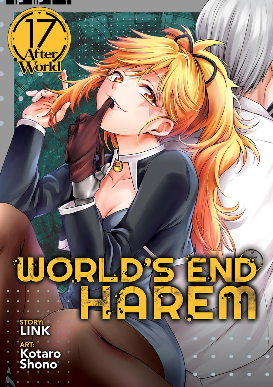 Worlds End Harem Vol 17 After World GN