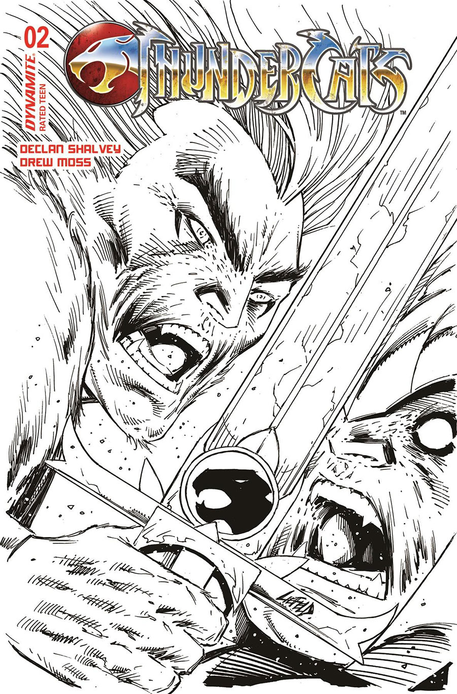 Thundercats Vol 3 #2 Cover Z-B Incentive Rob Liefeld Black & White Cover