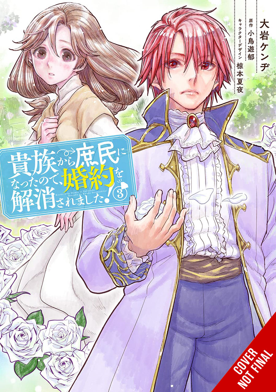 When I Became A Commoner They Broke Off Our Engagement Vol 3 GN