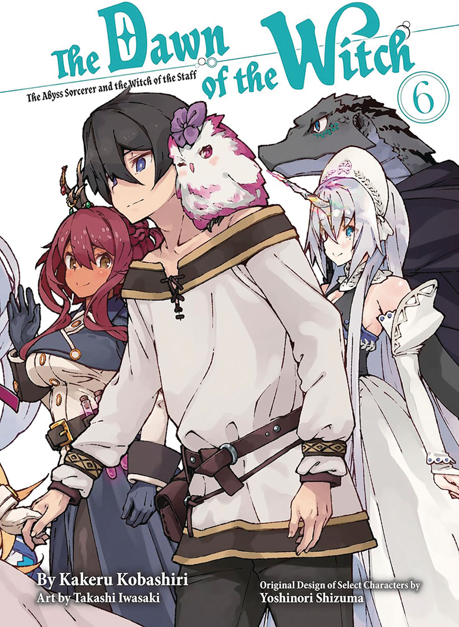 Dawn Of The Witch Light Novel Vol 6 The Abyss Sorcerer And The Witch Of The Staff