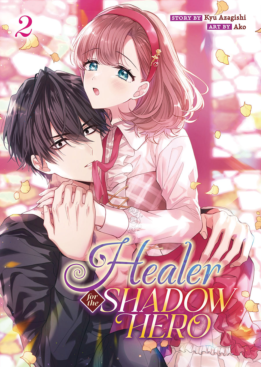 Healer For The Shadow Hero Vol 2 GN