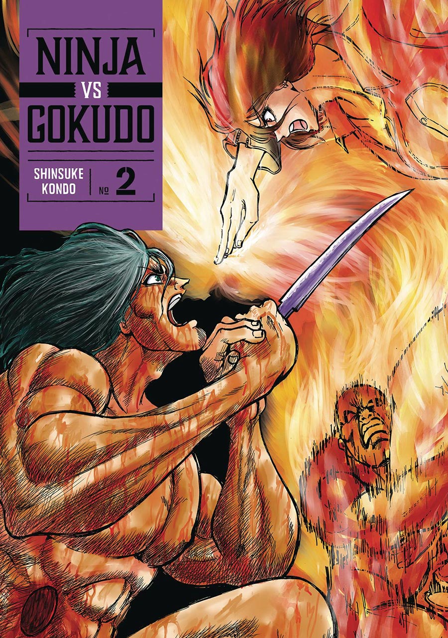 Ninja vs Gokudo Vol 2 GN