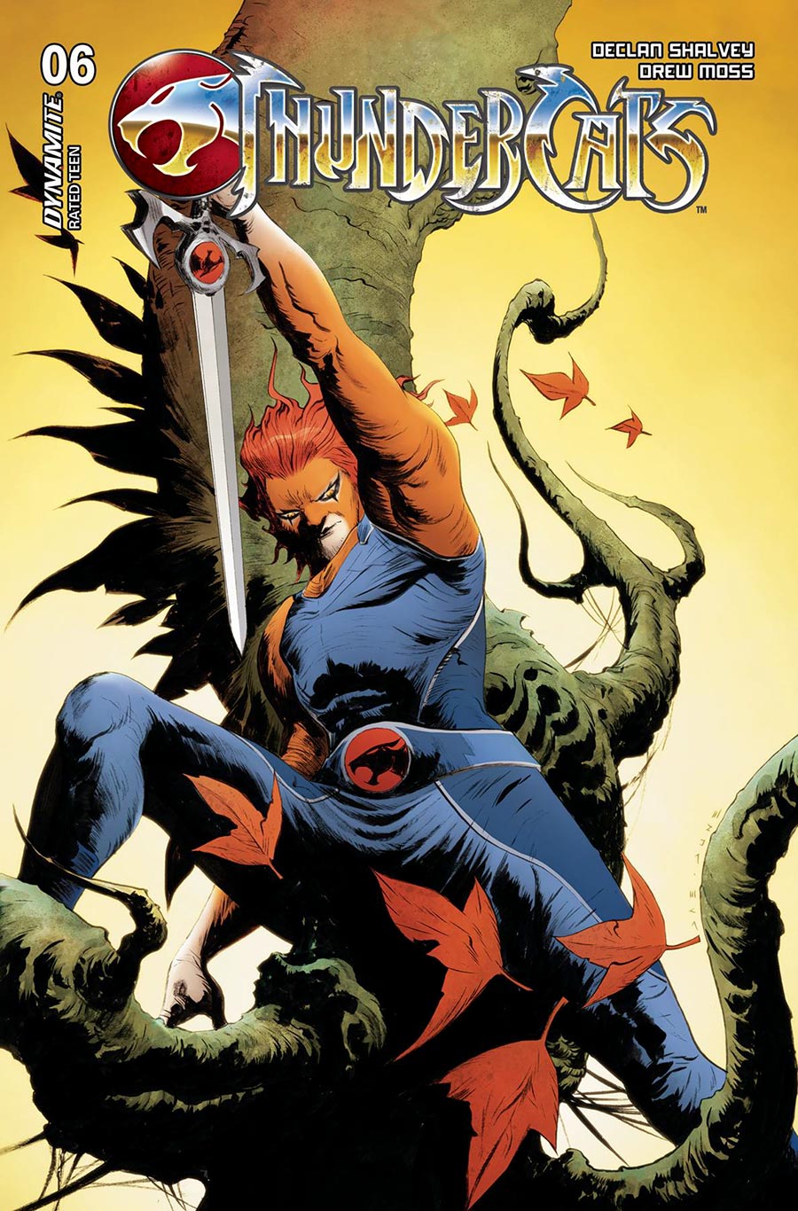 Thundercats Vol 3 #6 Cover D Variant Jae Lee & June Chung Cover