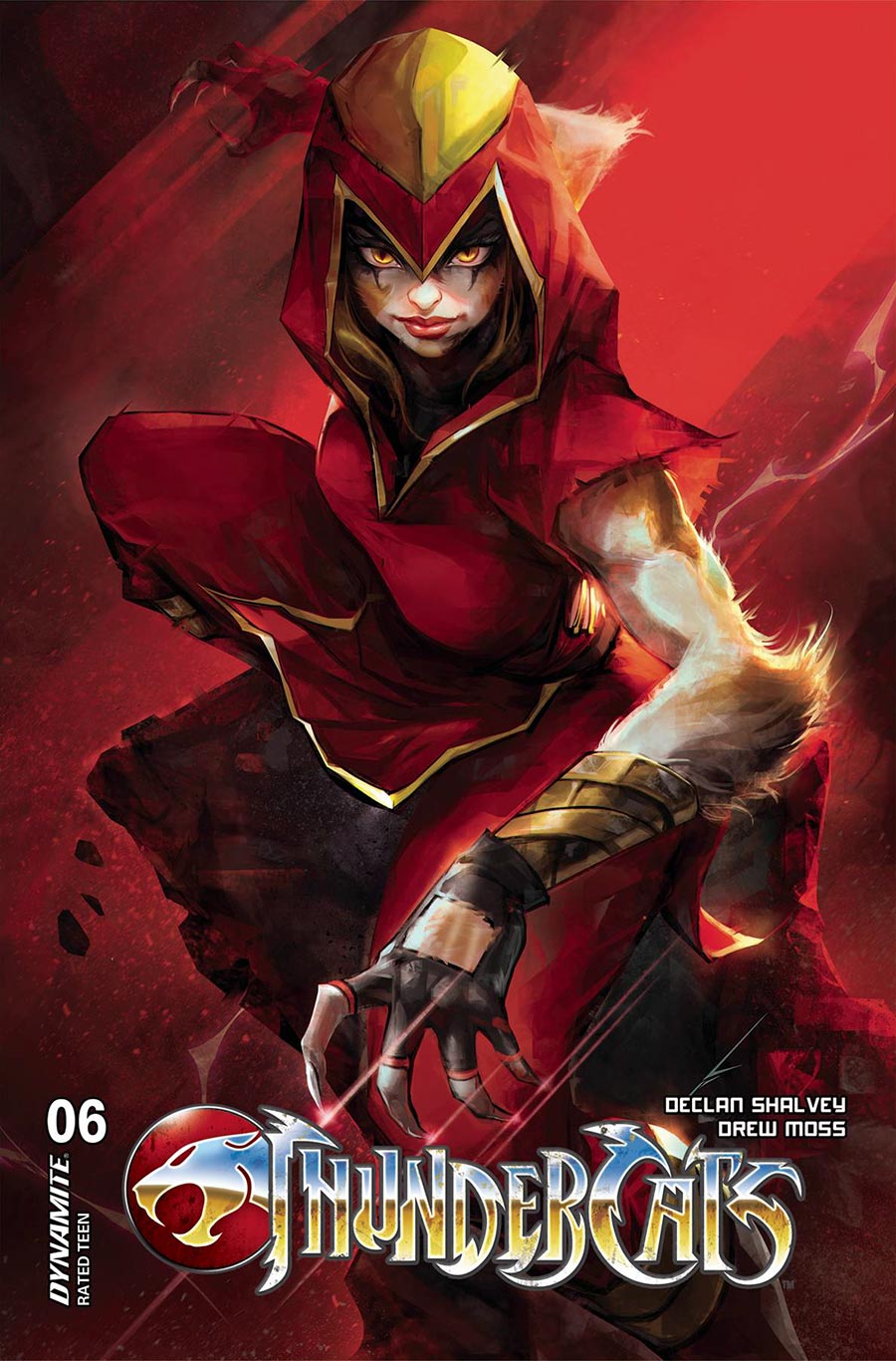 Thundercats Vol 3 #6 Cover E Variant Ivan Tao Cover