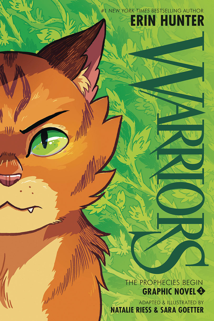 Warriors The Prophecies Begin Graphic Novel Vol 1 TP