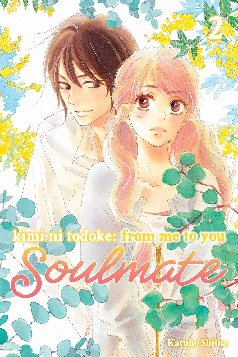 Kimi Ni Todoke -From Me To You- Soulmate Vol 2 GN