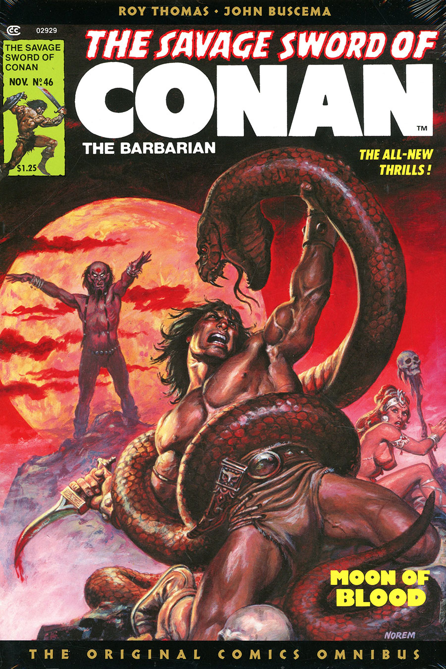 Savage Sword Of Conan The Original Comics Omnibus Vol 4 HC Book Market Earl Norem Cover