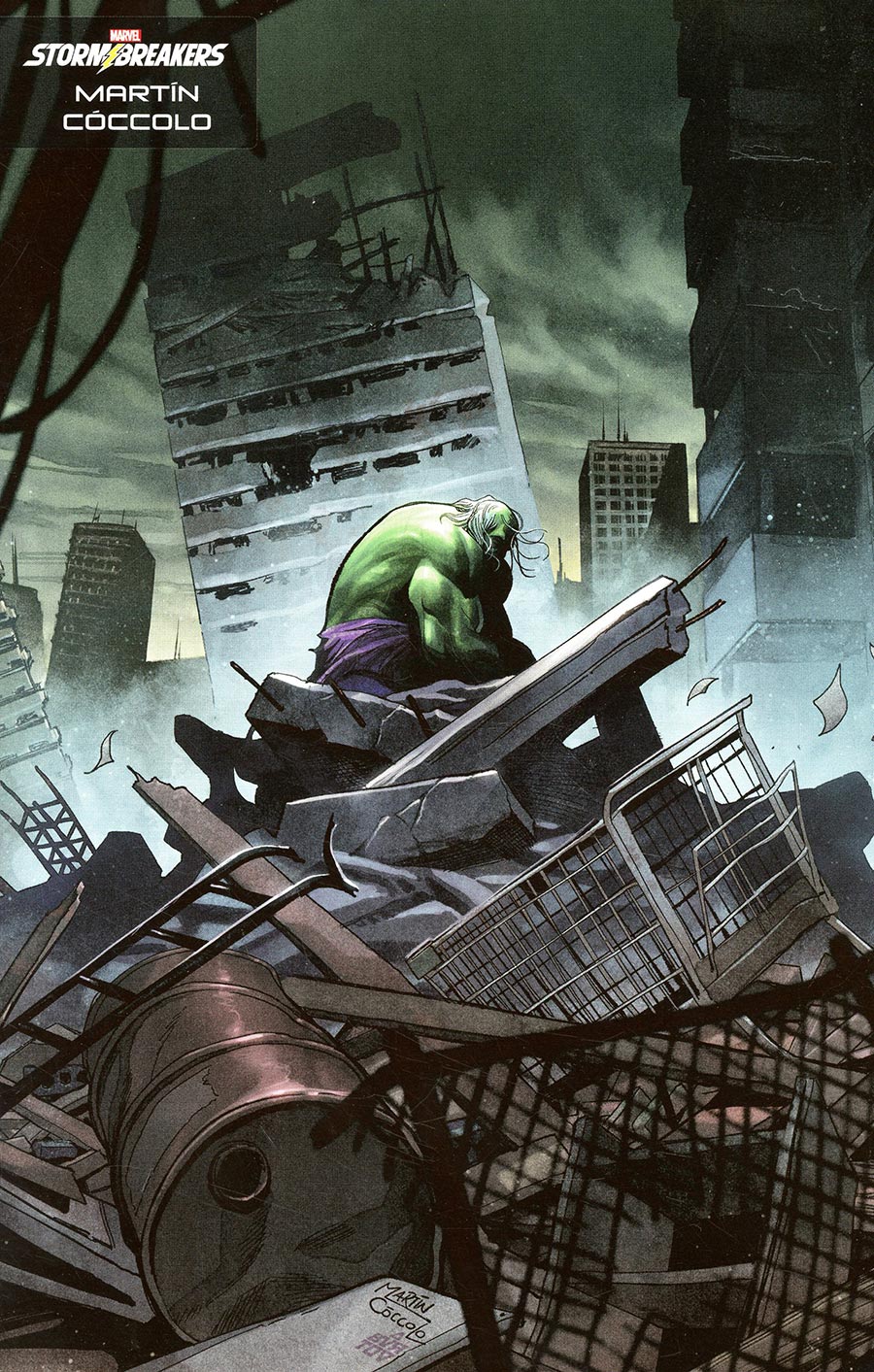 Incredible Hulk Vol 5 #19 Cover C Variant Martin Coccolo Stormbreakers Cover (#800)