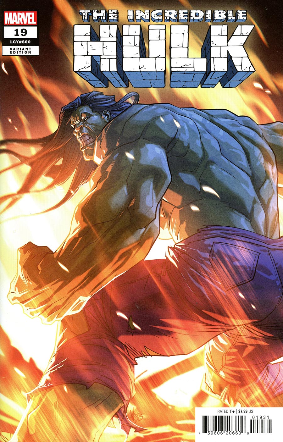 Incredible Hulk Vol 5 #19 Cover D Variant Pete Woods Cover (#800)