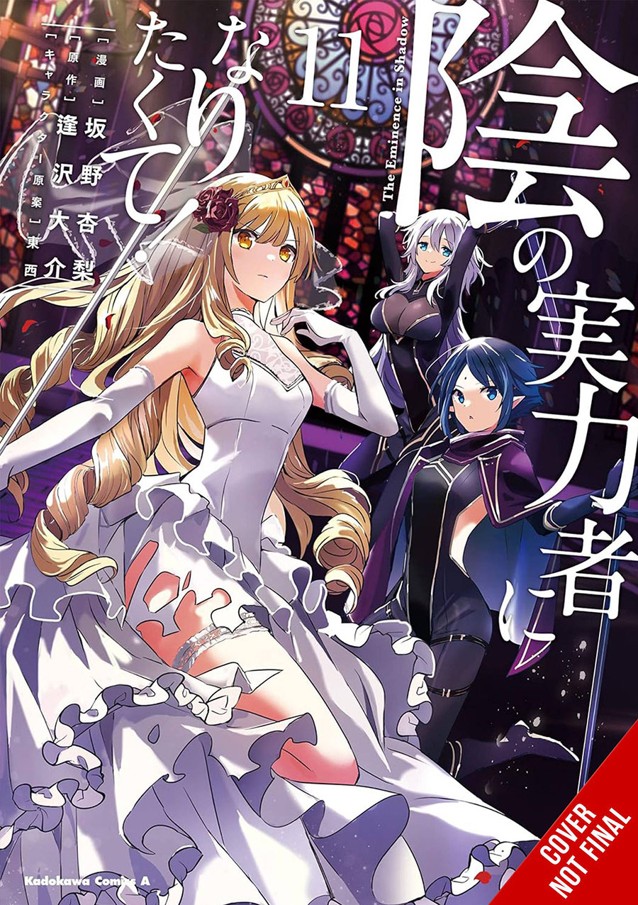 Eminence In Shadow Vol 11 GN