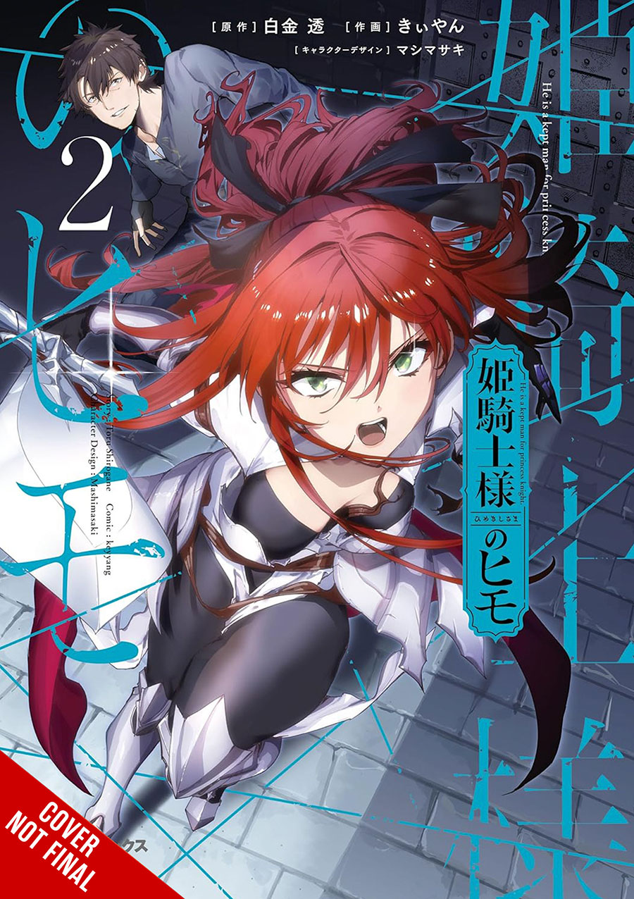 Kept Man Of The Princess Knight Vol 2 GN