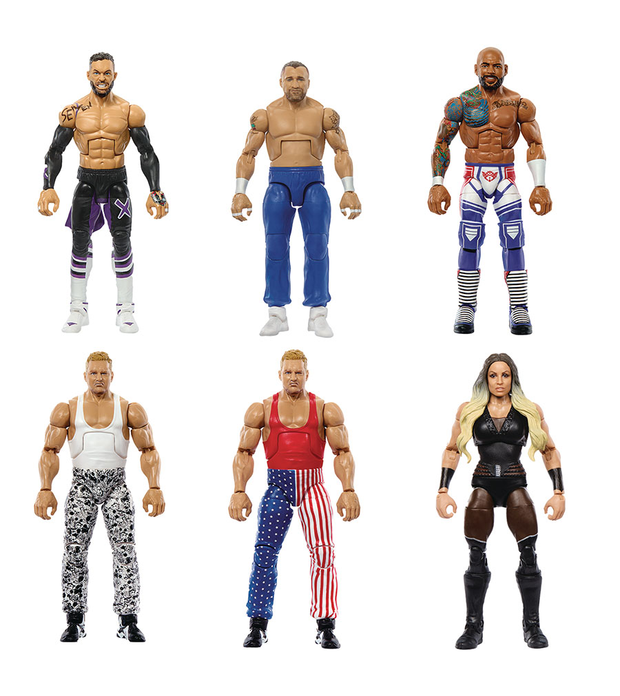 WWE Elite Collection Action Figure Series 111 Assortment Case