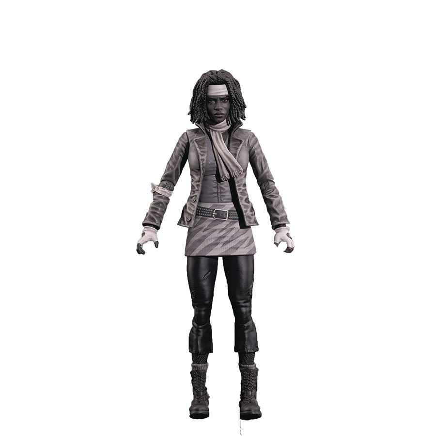 Walking Dead Comic Deluxe Action Figure Series 1 - Michonne
