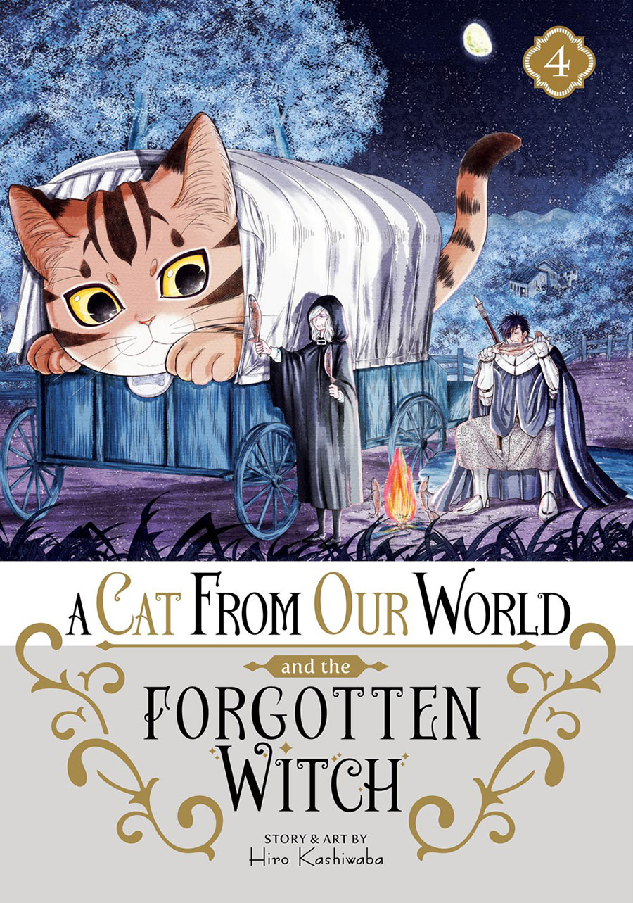 A Cat From Our World And The Forgotten Witch Vol 4 GN