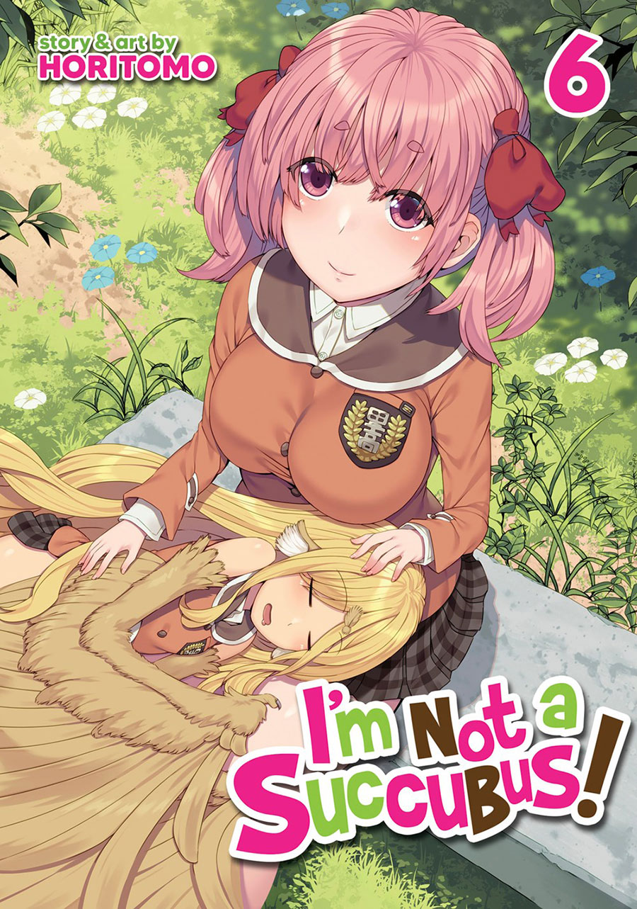 Im Not A Succubus Vol 6 GN