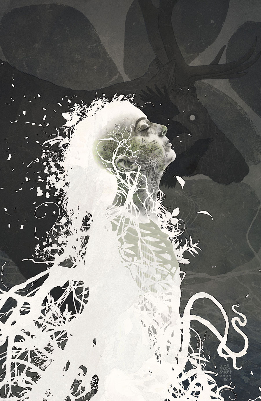 Creeping Below #3 Cover C Incentive Tim Bradstreet Reveal Virgin Cover