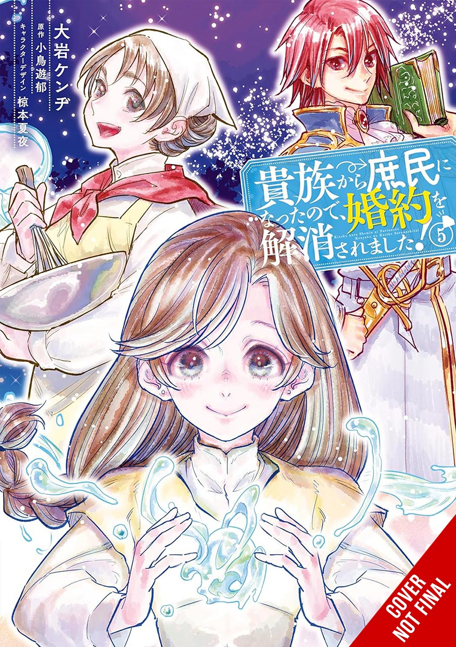 When I Became A Commoner They Broke Off Our Engagement Vol 5 GN