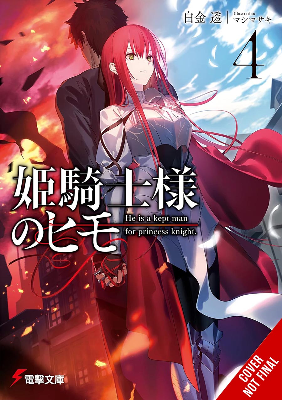 Kept Man Of The Princess Knight Light Novel Vol 4