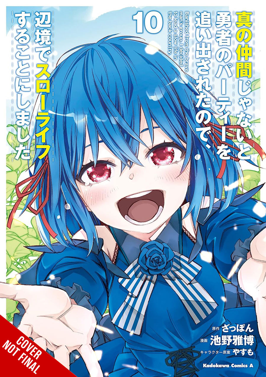 Banished From The Heros Party I Decided To Live A Quiet Life In The Countryside Vol 10 GN