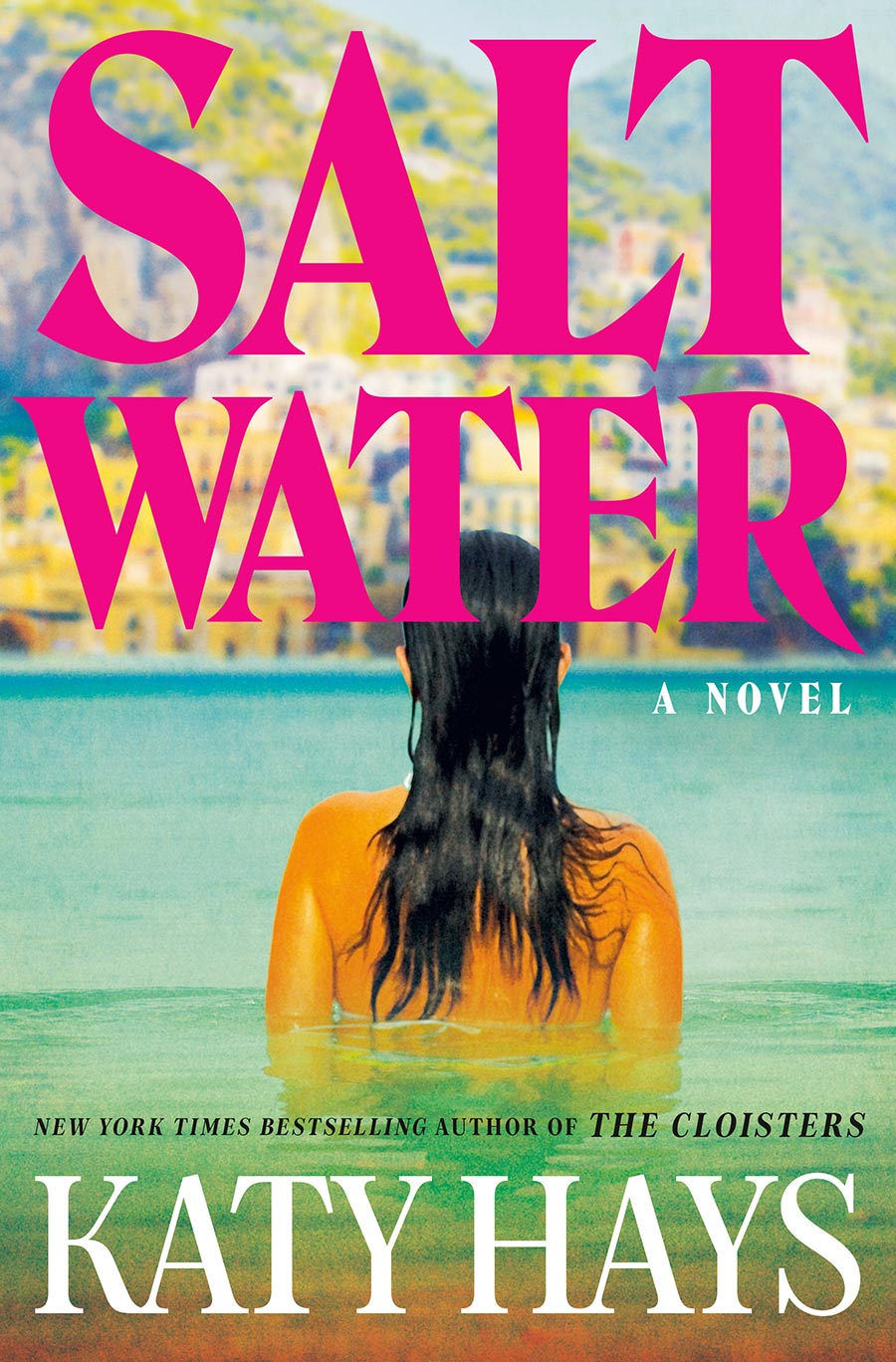 Saltwater A Novel HC