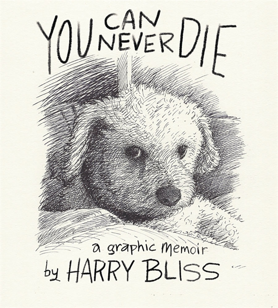 You Can Never Die A Graphic Memoir HC