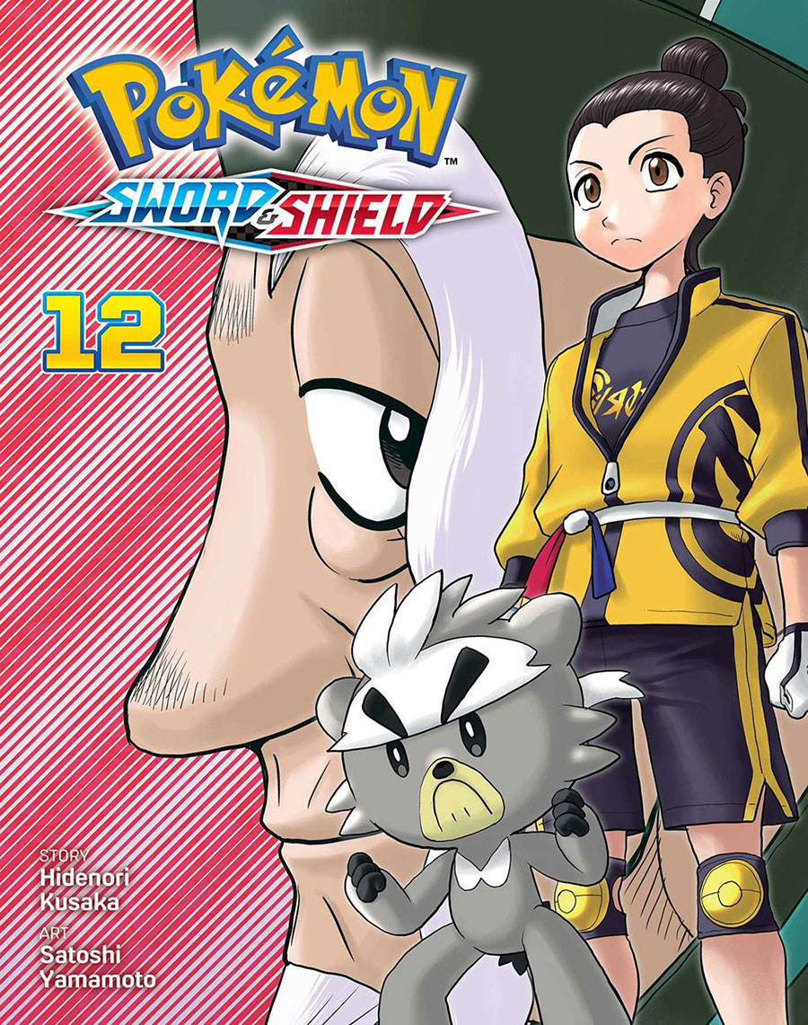 Pokemon Sword & Shield Vol 12 GN
