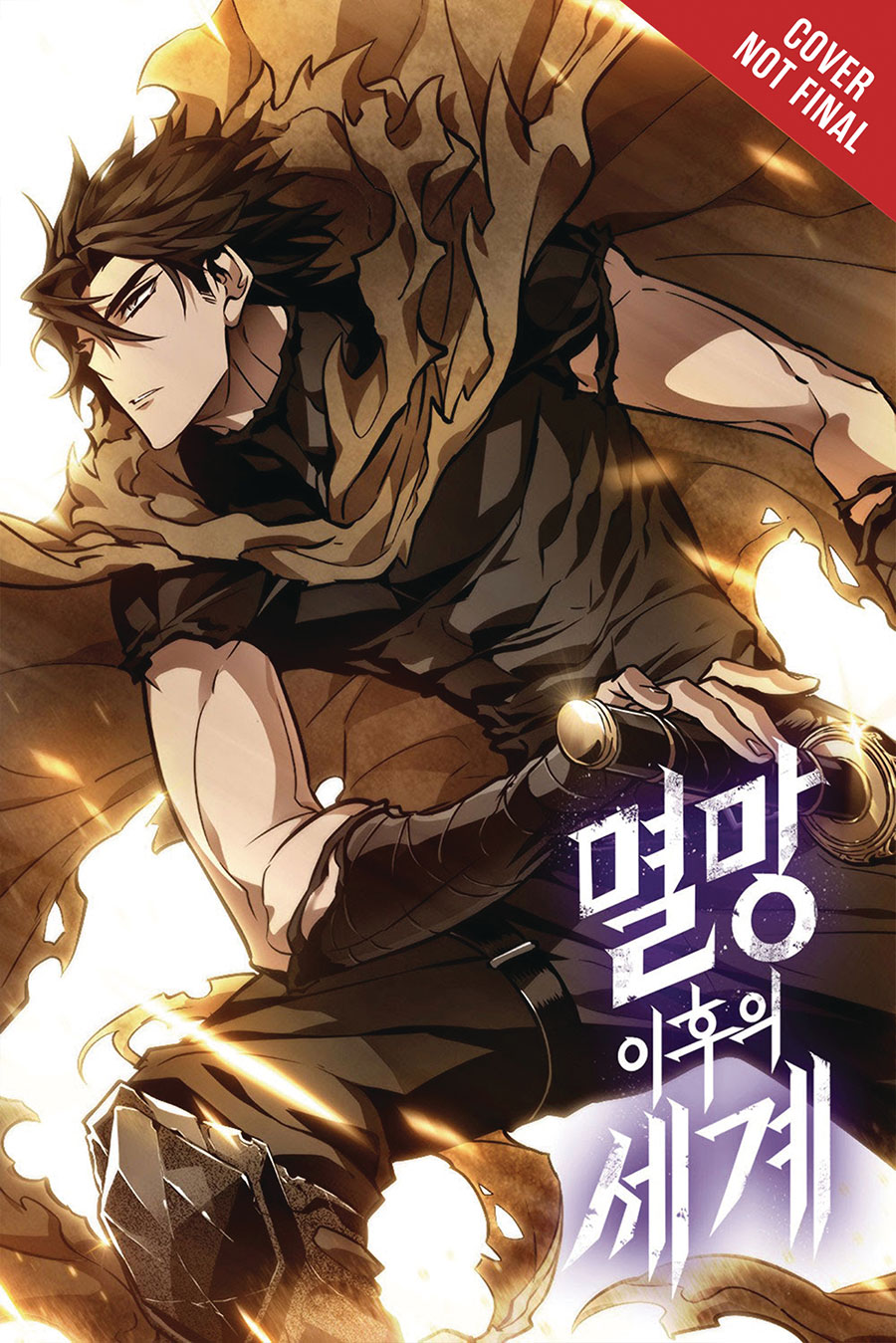 World After The Fall Vol 10 GN