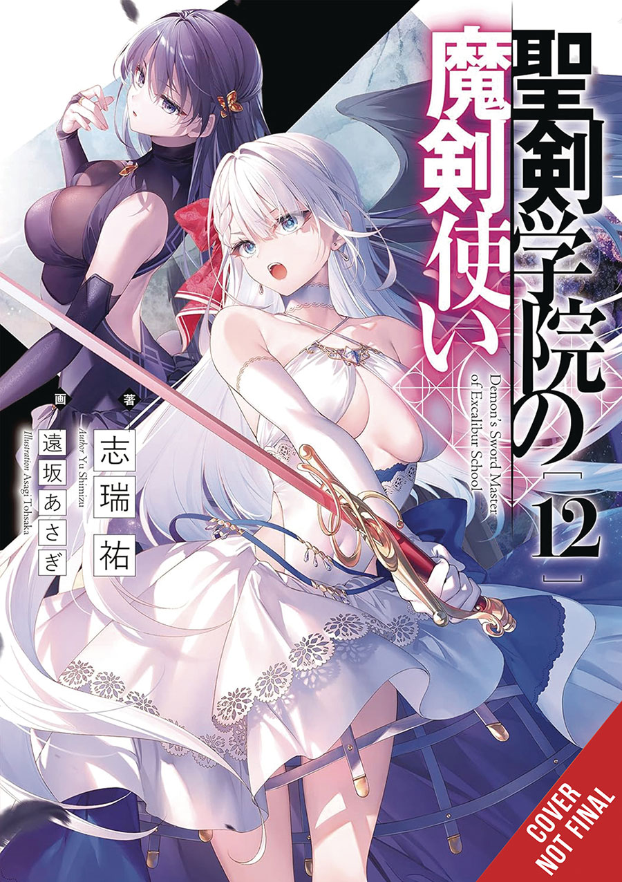 Demon Sword Master Of Excalibur Academy Novel Vol 12 SC